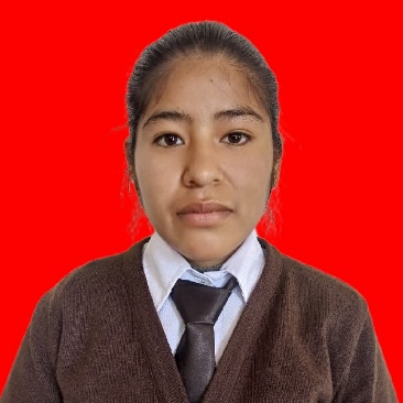 Ludy Choque Vásquez