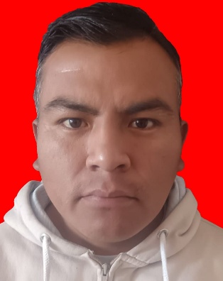 Wilson Chinche Bacaflor